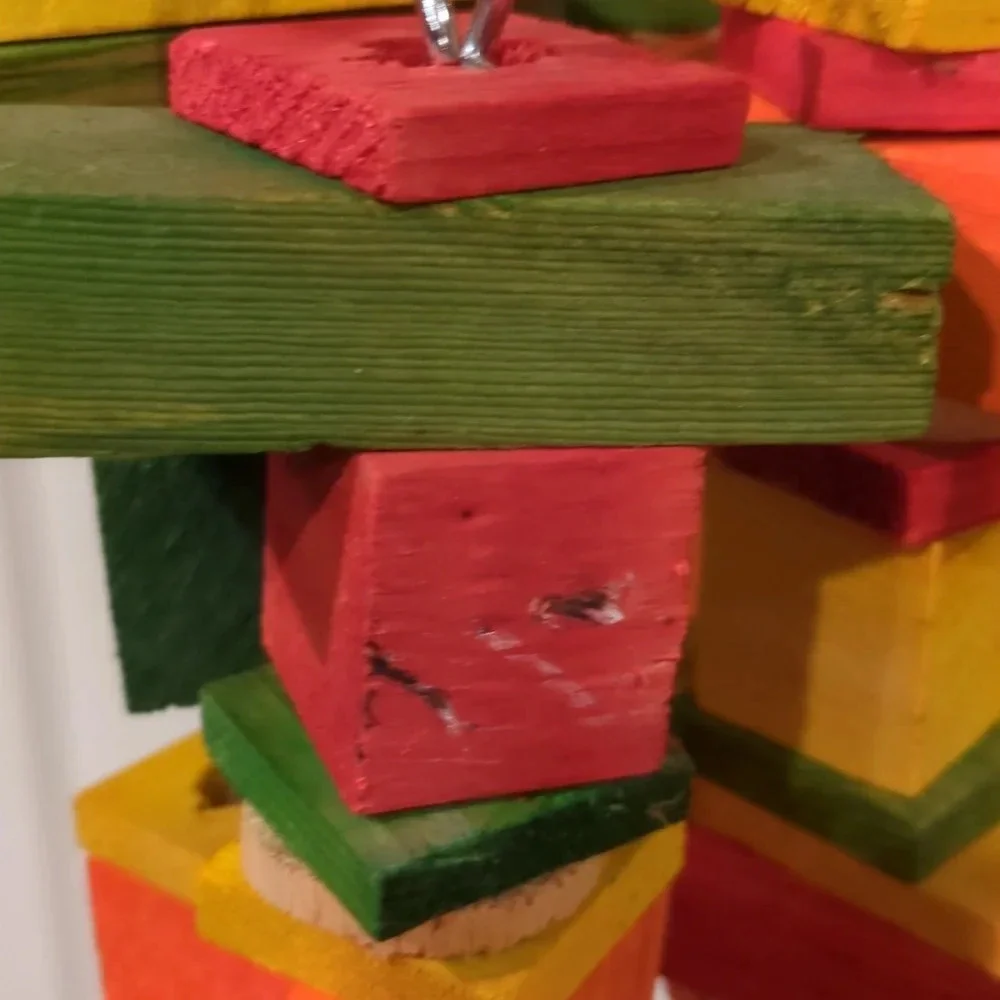 For Kitty Rescue! XL Parrot Wooden Block Toy, All Living Things